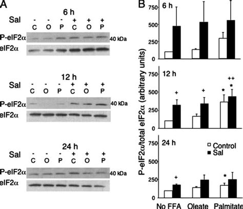 Salubrinal And Ffa Induce Eif Phosphorylation A Ins E Cells Were