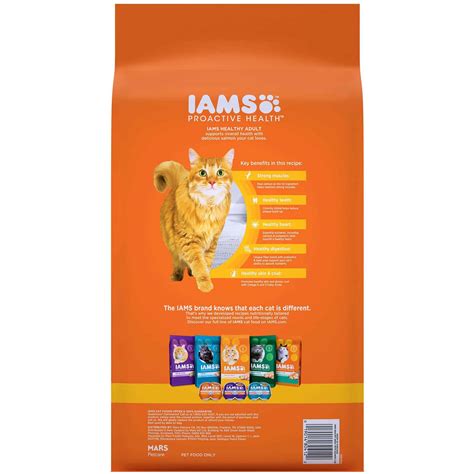 IAMS Adult Salmon Cat Food | UPCO Animal Supplies