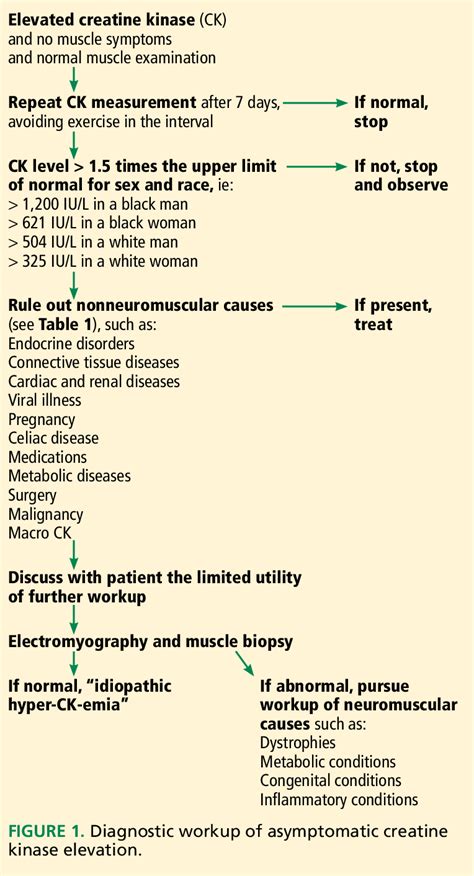 Figure From Approach To Asymptomatic Creatine Kinase Elevation