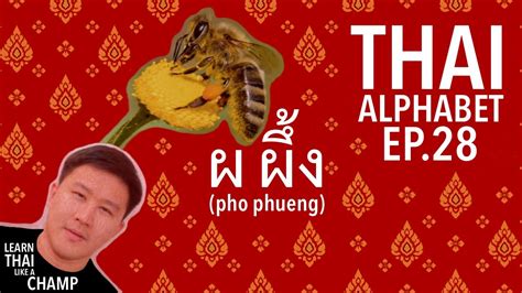 Thai Alphabet Ep 28 ผ ผึ้ง Pho Phueng [learn Thai Like A Champ