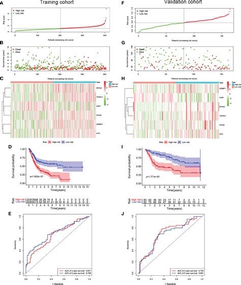 Frontiers A Novel Prognostic Model Based On Cellular Senescence