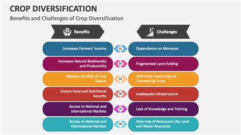 Crop Diversification PowerPoint and Google Slides Template - PPT Slides