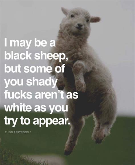 Black Sheep Quotes I Laughed Inspirational Quotes Humor Sayings Funny Limits Wisdom