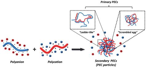 Mechanism Of PEC Formation From Two Water Soluble Polyelectrolytes