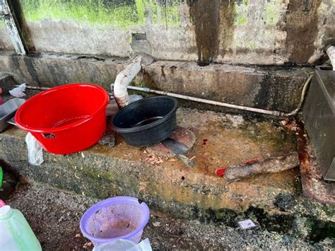 Didapati Terlalu Kotor Tiga Premis Makanan Di Bintulu Diarahkan Tutup