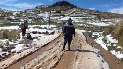 Chucuito El De Cultivos Se Echaron A Perder Tras Intensa