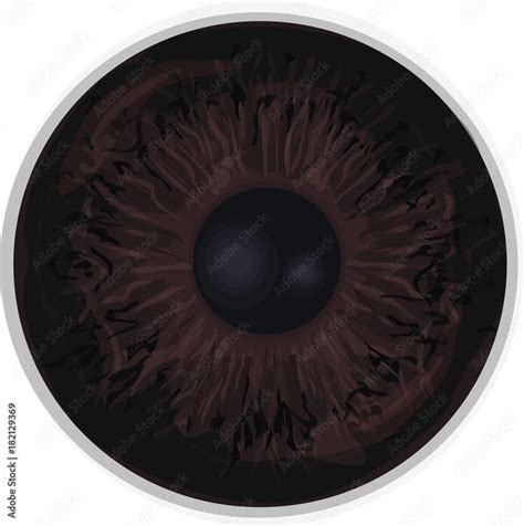 Eye iris - Realistic vector - Eye iris vector texture - Dark Brown, Stock Vector | Adobe Stock