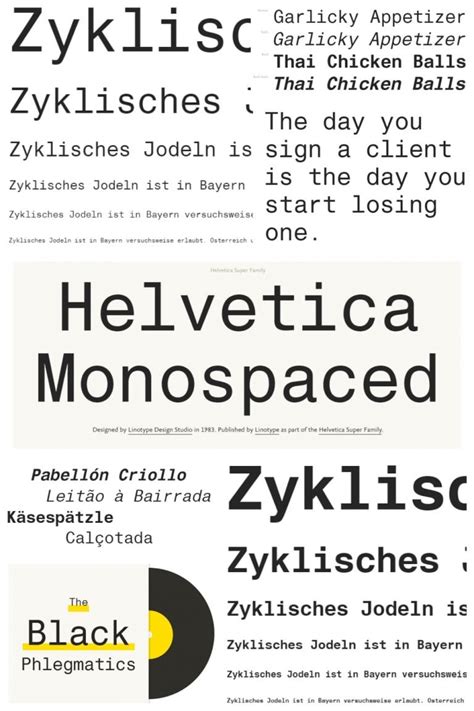 15 Best Monospace Fonts For 2021 Free And Premium Fonts