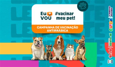 Campanha de vacinação antirrábica em Sento Sé entra na última semana