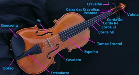 Nome Das Cordas Violino - Nomes De Cordas De Violino