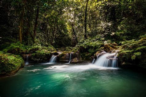 A Hidden Tropical Paradise: Reach Falls, Jamaica | BEACHES