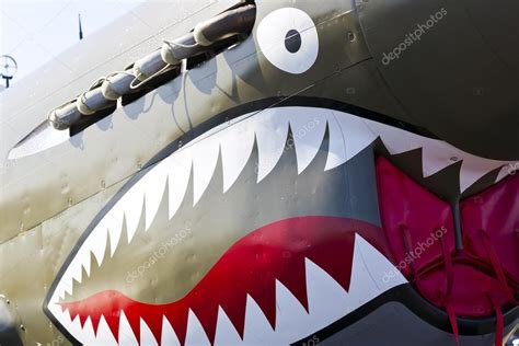 P-40 Warhawk WWII Aircraft — Stock Photo © actionsports #12669199