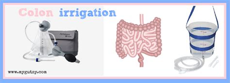 Remedies for Intestinal Dysmotility - Gutsy