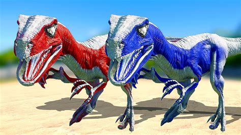 Velociraptor Color Pack Vs Megalosaurus Vs Proceratosaurus Jurassic World Evolution 2 Youtube