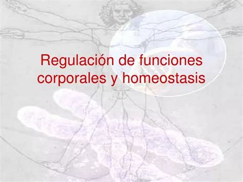 Ppt Regulaci N De Funciones Corporales Y Homeostasis Powerpoint