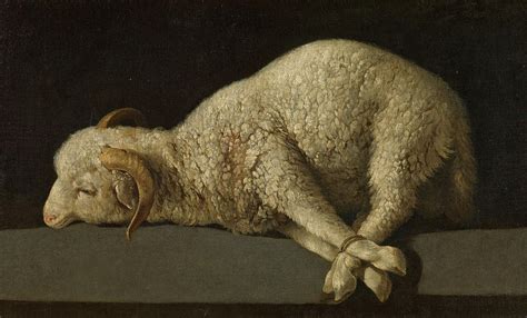 The Lamb Of God Agnus Dei Painting By Francisco De Zurbaran Pixels