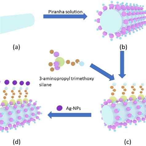 Schematic Diagram Of Silver Nanoparticle Sensing Probe A The Exposed