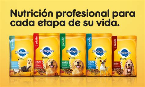 Pedigree Adulto 21 Kilos Pet Mayorista