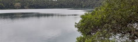 Lake Eacham Circuit Track, Queensland, Australia - 91 Reviews, Map ...