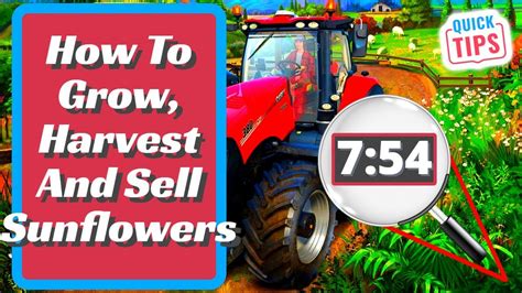 Farming Simulator 22 Sunflowers Complete Guide How To Grow Harvest And Sell Sunflowers