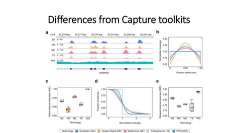 Whole Exome Sequencing Data Analysis Pptx