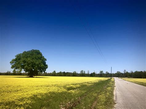 How to Reach Thornhill Park and Ride in Oxford by Public Transit 7