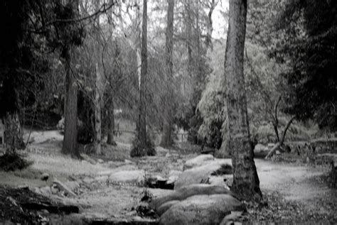 Black And White Nature Photography | Photography