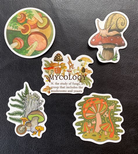 Sets of 5 Colourful Fungi Toadstool Mushroom Matte Stickers - Etsy UK