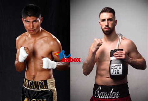 Encuesta Mikey García vs Sandor Martín Quien ganará la pelea