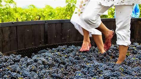 Cuáles son los vinos de fútbol hecho con los pies deCepas