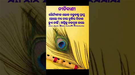 Odia Nitibani And Nitisikha Youtube