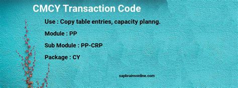 Cmcy Sap Tcode For Copy Table Entries Capacity Planng