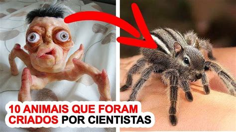 10 Animais Que Foram Criados Por Cientistas YouTube