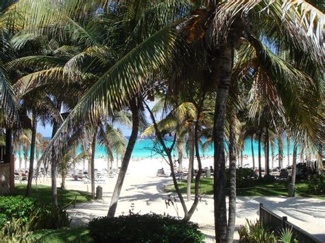 Riu Tequila Riviera Maya