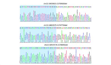 Variant Validation By Sanger Sequencing Primers That Were Designed At