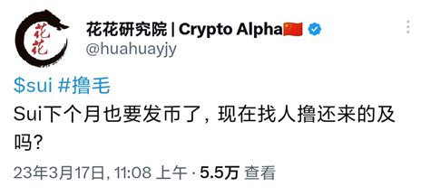 花花研究院 Crypto Alpha🇨🇳 On Twitter Sui 这次sui不给空投了，还好撸的晚，少亏就是赚🤒2月1号之前