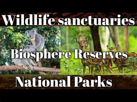 National Parks Wildlife Sanctuaries Biosphere Reserves Indian