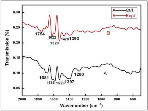 Ftir Spectra Of A Sodium Citrate Control And B Capped Capnps