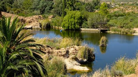 Botanical gardens and arboretums in and near Phoenix