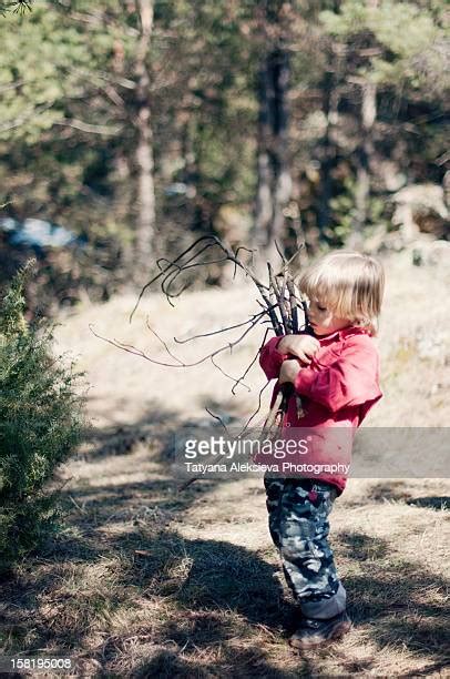 children twigs stock  high res pictures  images