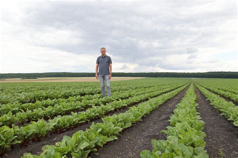 Odmiany buraka ćwikłowego sprawdzone standardy i nowości co wybrać