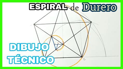 Espirales Espiral De Durero Sobre Tri Ngulo Ureo Youtube