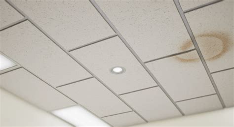 Office Ceiling Tiles Material Shelly Lighting