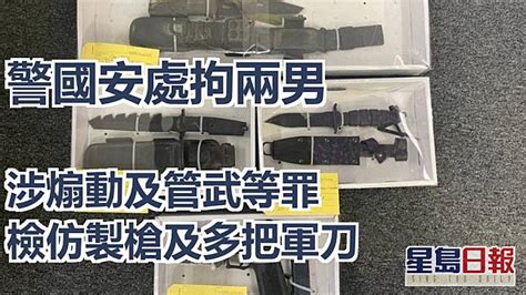 警國安處拘兩男涉煽動及管武等罪 檢仿製槍及多把軍刀 星島日報 Line Today