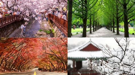 korea climate - Living + Nomads – Travel tips, Guides, News & Information!