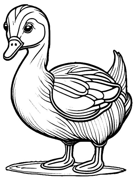 Mother Duck Coloring Page Black and White · Creative Fabrica