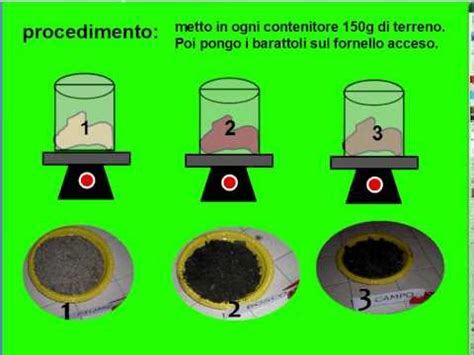 Esperimenti Sul Suolo Sostanza Organica Di Alessandro R 1D YouTube