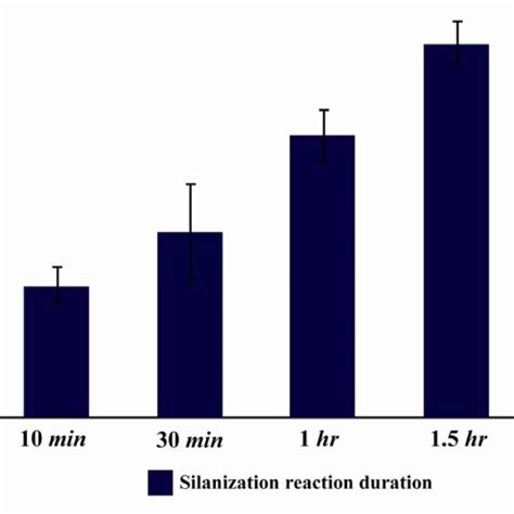 Glass Surface Modification And Cell Seeding Process A Glass Surface Download Scientific