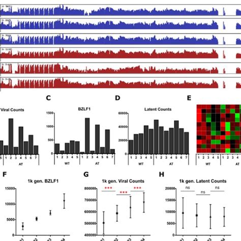 Rna Seq Results Of The Viral Genome A Whole Genome View Of Rna Seq