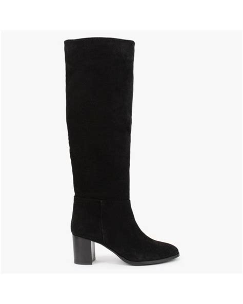 Daniel Lowlorna Black Suede Block Heel Knee Boots Lyst